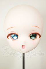 DDH-01/カスタムヘッド A-26-10-26-116-NY-ZA