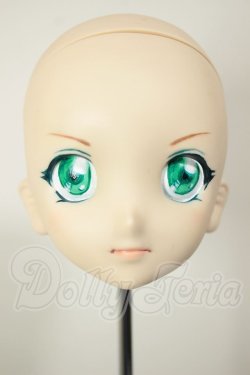 画像1: DDH-06/カスタムヘッド A-26-10-26-173-NY-ZA