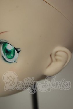 画像7: DDH-06/カスタムヘッド A-26-10-26-173-NY-ZA