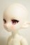 画像4: TinyFox/OF:タコ娘 ピアシー A-26-10-26-253-NY-ZA (4)