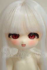 TinyFox/夕暮れ子猫 カサンドラ  A-26-10-26-252-NY-ZA