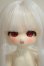 画像1: TinyFox/夕暮れ子猫 カサンドラ  A-26-10-26-252-NY-ZA (1)