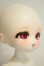 画像3: TinyFox/夕暮れ子猫 カサンドラ  A-26-10-26-252-NY-ZA (3)