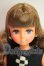 画像1: リカちゃんキャッスル/パレットF　2019年9月DS57モデル/パレットFコレクション A-26-10-26-268-NY-ZA (1)