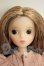 画像1: KUKUCLARA クククララ/ Cozy Little Korea  A-26-10-26-265-NY-ZA (1)