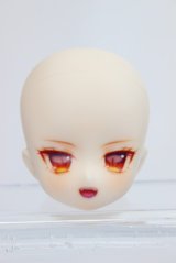 azone/AZ-2701・ピュアニーモ用カスタムヘッド A-23-11-29-260-NY-ZA