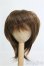 画像1: 8〜9inch/ウィッグ I-25-02-16-3025-KN-ZI (1)