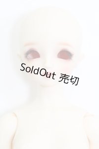 ＳＤＧＩＲＬ/シャルロッテ 本体のみ I-23-09-24-012-TO-ZI