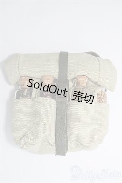 画像1: DD/OF：ディーラー様製採集バッグ/ I-25-10-26-352-KN-ZI