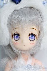 【SALE】オビツ11/HAKASEヘッドカスタムドール I-24-10-27-1057-TO-ZI