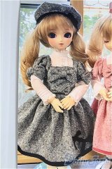 DSD/OF グレードレス I-25-01-26-3068-TO-ZI