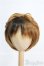 画像1: 9〜10inch/ウィッグ I-25-02-16-3028-TO-ZI (1)