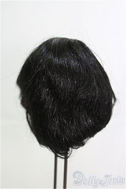 画像2: 12〜13inch/ウィッグ I-25-03-16-2030-TO-ZI