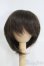 画像1: 7〜8inch/ウィッグ I-25-04-20-2017-TO-ZI (1)