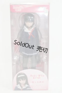 画像1: azone/PNMキャラクターシリーズ:No.091 霞ヶ丘詩羽 I-23-11-26-041-KN-ZI