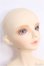 画像3: 【SALE】SD13GIRL/フルチョイス：F-34 I-24-09-08-1002-TO-ZI