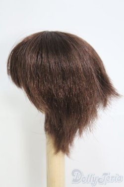 画像2: 7〜8inch/ウィッグ I-25-05-11-3025-TO-ZI