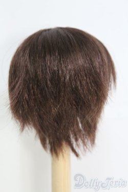 画像3: 7〜8inch/ウィッグ I-25-05-11-3025-TO-ZI