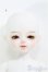 画像2: 【SALE】LOONG SOUL/Little Wei Huo Hu I-24-10-27-1096-TO-ZI (2)