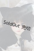 SDC/黒猫ルネ I-23-12-10-001-TO-ZI