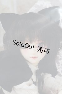 SDC/黒猫ルネ I-23-12-10-001-TO-ZI