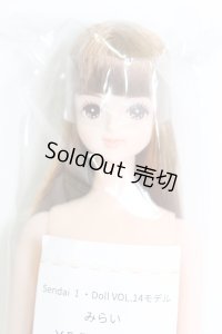 キャッスル/みらい:おたのしみドール I-24-01-21-1050-TO-ZI