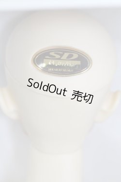 画像4: SDGr/伊達政宗 I-23-12-24-1001-KN-ZI