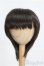 画像1: 8〜9inch/ウィッグ I-25-03-30-2025-TO-ZI (1)