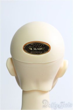 画像5: SDGr/支倉常長II I-25-06-29-1068-TO-ZI