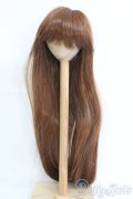 9〜10inch/ウィッグ I-25-05-11-2026-TO-ZI