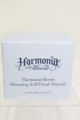 Harmonia bloom/ blooming doll(Head-Nepeta) I-24-01-14-1088-KN-ZI