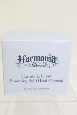 画像1: Harmonia bloom/ blooming doll(Head-Nepeta) I-24-01-14-1088-KN-ZI