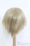 画像2: 9~10inch/ウィッグ I-25-05-25-2030-TO-ZI (2)