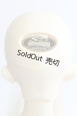 画像4: SD女の子/ワンオフモデル:F-59・YUI様メイク I-24-01-21-1002-KN-ZI