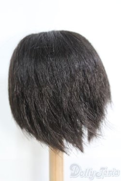 画像3: 9〜10inch/ウィッグ I-25-05-11-3036-TO-ZI