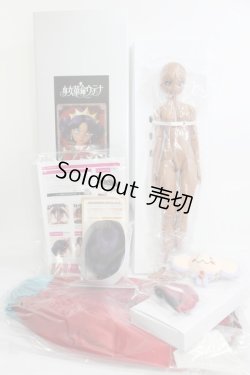 画像5: DDS/姫宮アンシー I-24-01-28-1003-TO-ZI