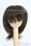 画像1: 7〜8inch/ウィッグ I-25-05-11-2016-KN-ZI (1)