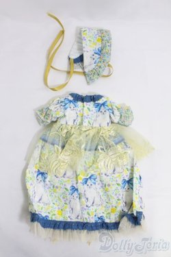 画像2: MSD/OF:永久薔薇園様製ドレスセット I-25-05-11-3074-KN-ZI