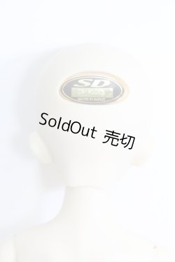 画像4: SDM/コーディネートモデル:F-33 I-24-02-04-1002-KN-ZI