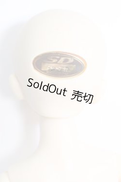 画像4: SDM/コーディネートモデル：F-17 I-24-02-04-1001-KN-ZI