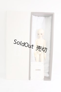 画像7: SDM/コーディネートモデル：F-17 I-24-02-04-1001-KN-ZI