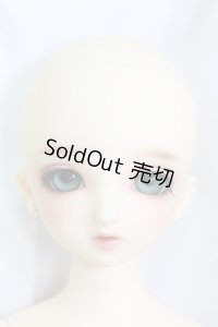 SDMGIRL/コーディネートモデル F33 I-24-02-11-1002-TO-ZI