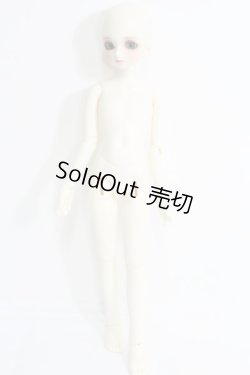 画像5: SDM/コーディネートモデル:白蓮(96番) I-24-02-11-1010-TO-ZI