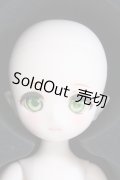 PUYOO DOLL/KUMAKO:LALA フルセット I-24-02-11-1004-TO-ZI