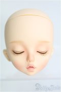 【SALE】DAYDREAM/sleepingGraceヘッド I-24-11-17-1050-TO-ZI