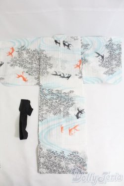 画像2: SD13BOY/着物 I-25-05-25-2060-KN-ZI