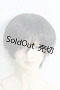 SDGｒ/近衛竜也 I-24-02-18-1053-TO-ZI