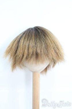 画像1: 9〜10inch/ウィッグ I-25-05-25-2029-TO-ZI