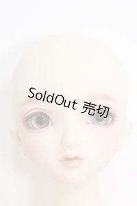 SD/ここ：スタンダードモデル I-24-02-25-1001-TO-ZI