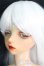画像2: Gem Of Doll/Gaia フルセット I-25-01-26-1003-TO-ZI (2)